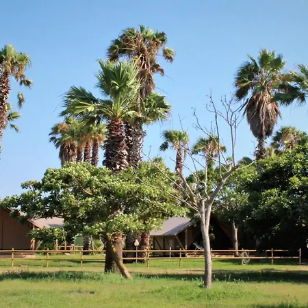 Village Glamping Biscione Petrosino